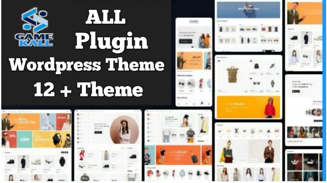 Wordpress multiple theme and plugin